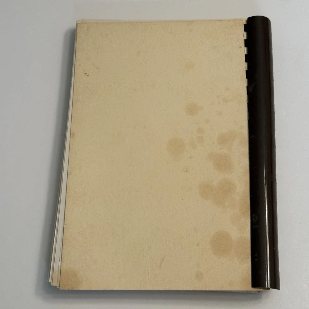 Mitchellville Iowa Community Cookbook Heavenly Dishes Spiral Bound Recipes VTG